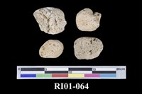 藏品(浮石)的圖片